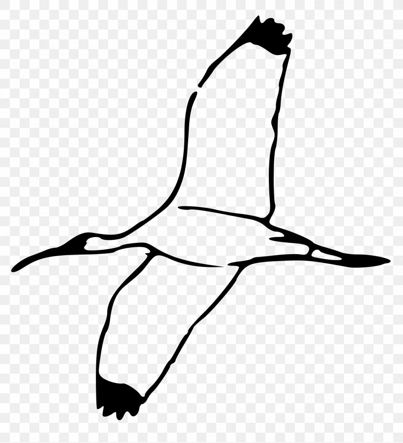 Bald Eagle Ibis Drawing Clip Art, PNG, 2182x2400px, Bald Eagle, African Sacred Ibis, Area, Art, Artwork Download Free