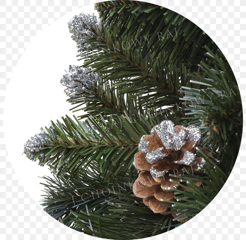Fir Christmas Ornament Spruce Pine Christmas Tree, PNG, 800x800px, Fir, Christmas, Christmas Decoration, Christmas Ornament, Christmas Tree Download Free