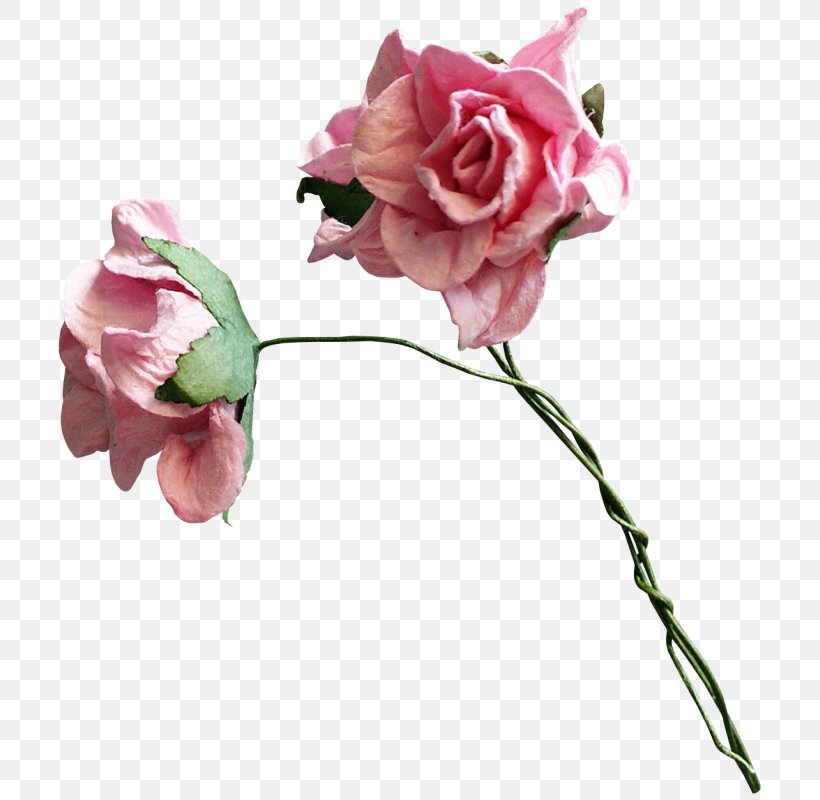 Garden Roses Cabbage Rose Cut Flowers Petal, PNG, 716x800px, Garden Roses, Artificial Flower, Blue Rose, Bud, Cabbage Rose Download Free