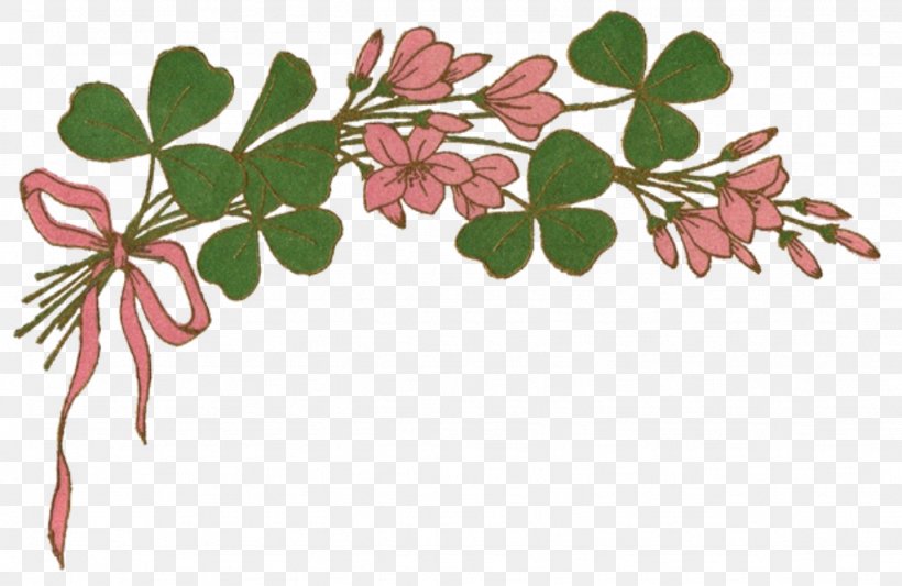 Saint Patrick's Day Shamrock Gift Leprechaun Clip Art, PNG, 1024x666px, Saint Patrick S Day, Branch, Claddagh Ring, Clover, Flora Download Free