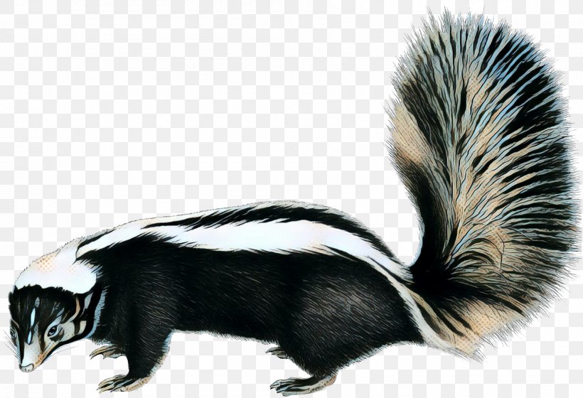 Fox Drawing, PNG, 1800x1230px, Skunks, Animal, Drawing, Fox Squirrel, Fur Download Free