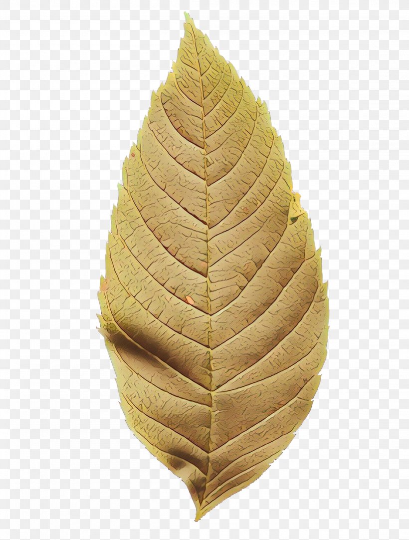 Leaf Commodity, PNG, 2304x3042px, Leaf, Commodity, Plant Download Free