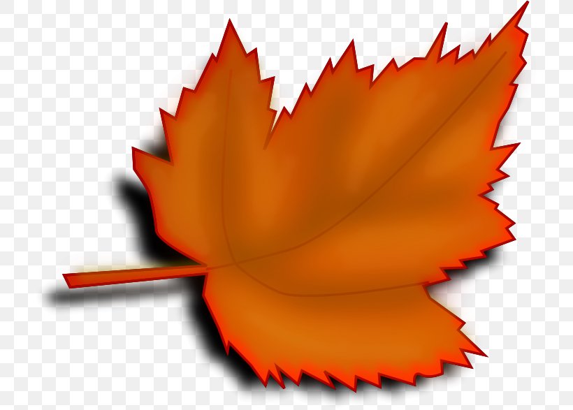 Autumn Leaf Color Maple Leaf Clip Art, PNG, 720x587px, Leaf, Autumn, Autumn Leaf Color, Color, Flower Download Free