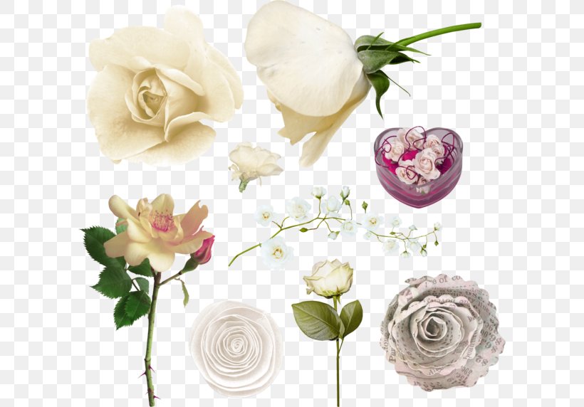 Garden Roses Cabbage Rose Floral Design Cut Flowers, PNG, 600x572px, Garden Roses, Artificial Flower, Blossom, Cabbage Rose, Cut Flowers Download Free