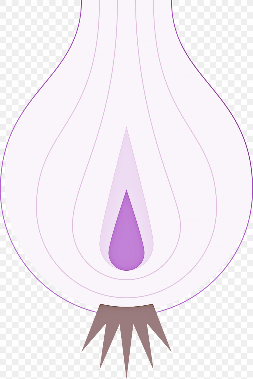 Onion, PNG, 2007x3000px, Onion, Allium, Plant, Violet Download Free