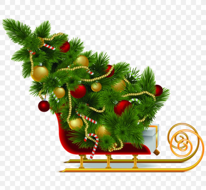 Santa Claus Christmas Tree Sled, PNG, 1000x923px, Santa Claus, Branch, Christmas, Christmas Card, Christmas Decoration Download Free