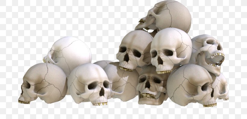 Skull Drawing, PNG, 700x396px, Skull, Art, Bone, Drawing, Human Skeleton Download Free