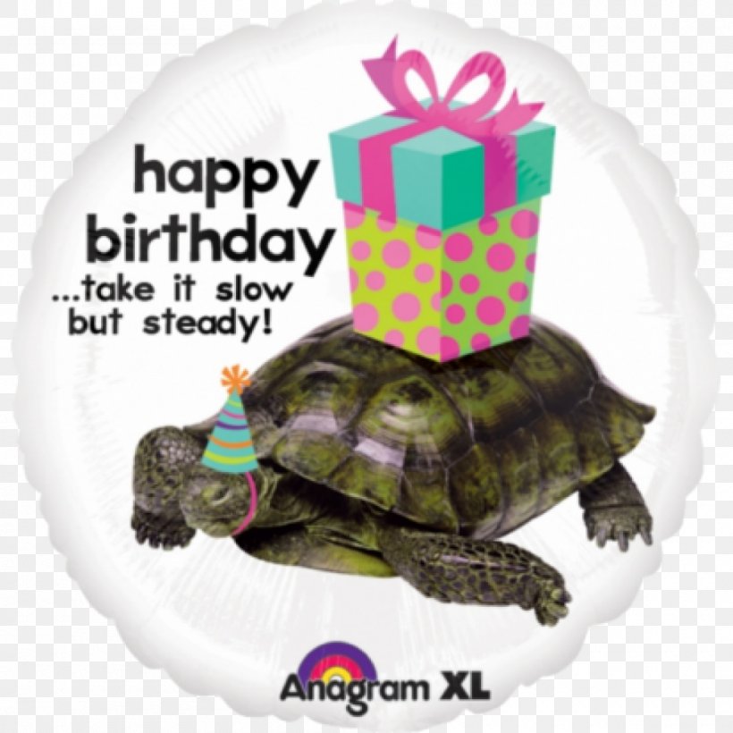 Turtle Birthday Tortoise Mylar Balloon, PNG, 1000x1000px, Turtle, Balloon, Birthday, Bopet, Happy Birthday To You Download Free