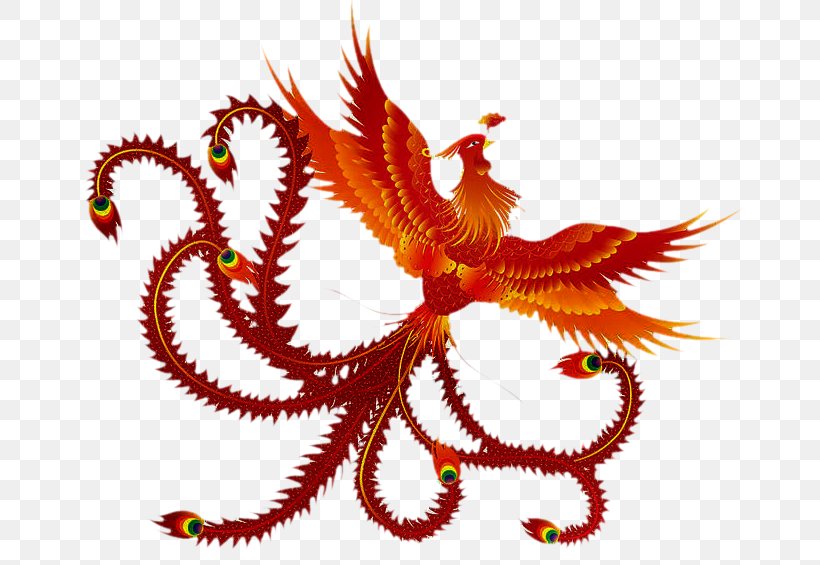 Vermilion Bird Phoenix Fenghuang County Tattoo, PNG, 684x565px, Vermilion Bird, Art, Chinese Dragon, Dragon, Fenghuang Download Free