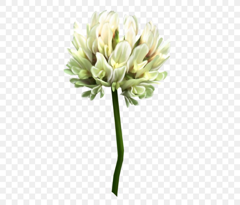 Cut Flowers Clover Clip Art, PNG, 437x699px, Cut Flowers, Bud, Clover, Collage, Flower Download Free