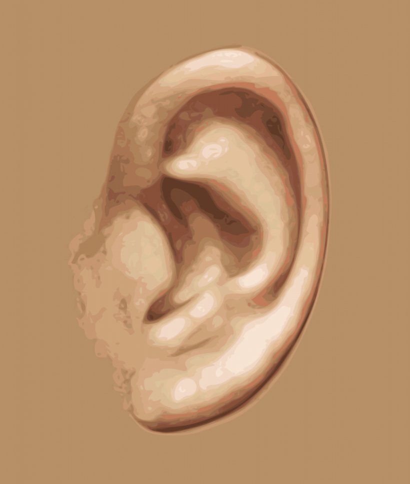 Hearing Sense Inner Ear Sensory Nervous System, PNG, 868x1024px, Watercolor, Cartoon, Flower, Frame, Heart Download Free
