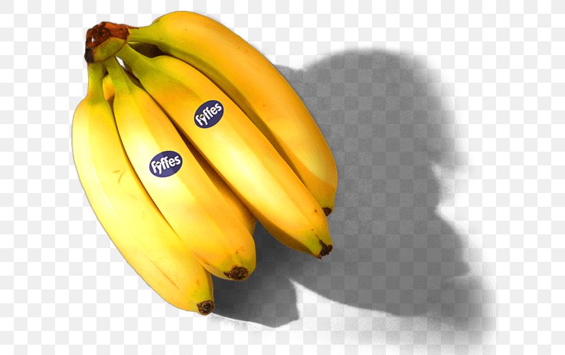 Saba Banana Cooking Banana Fyffes Chiquita Brands International, PNG, 628x515px, Saba Banana, Banana, Banana Family, Chiquita Brands International, Cooking Download Free
