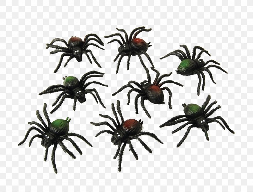 Spider Web Costume Party Halloween, PNG, 1056x800px, Spider, Arachnid, Arthropod, Clothing Accessories, Costume Download Free