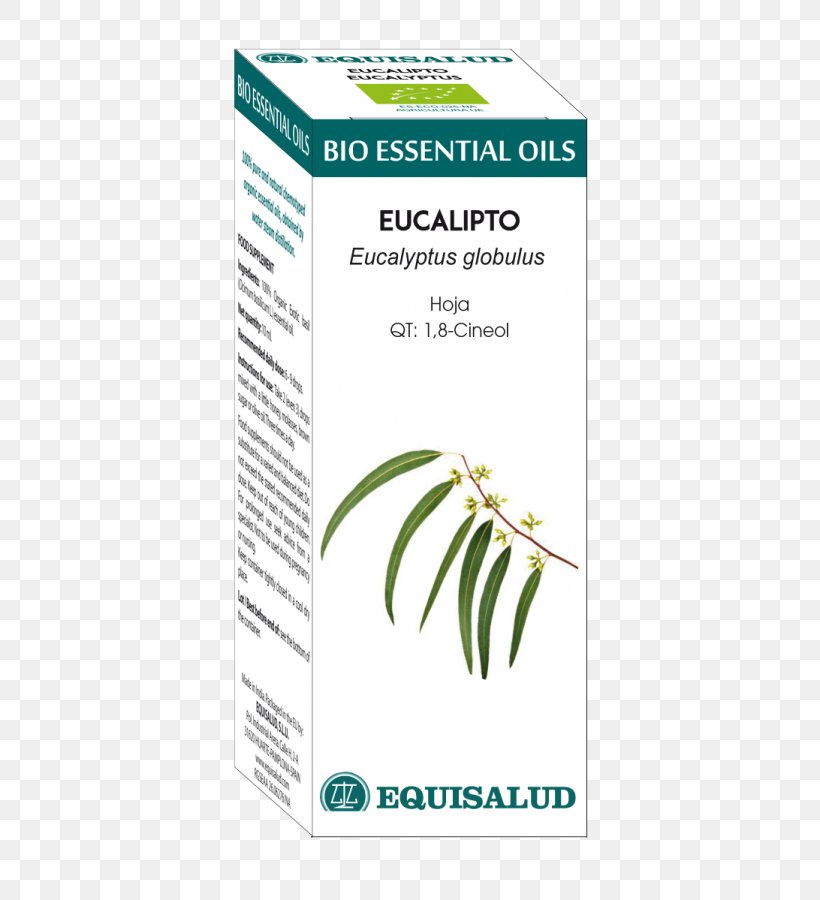 Garden Thyme Essential Oil Eucalyptol Basil, PNG, 800x900px, Garden Thyme, Aromatherapy, Basil, Essential Oil, Eucalyptol Download Free