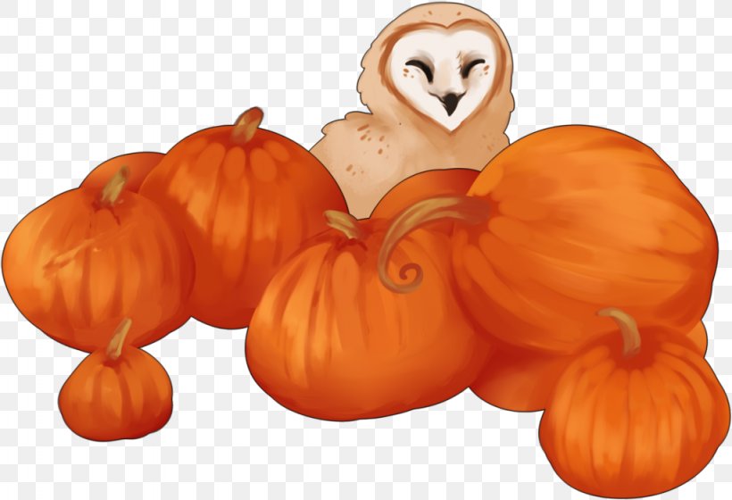 Pumpkin Clip Art Illustration Gourd Winter Squash, PNG, 1024x700px, Pumpkin, Calabaza, Cartoon, Copyright, Cucumber Gourd And Melon Family Download Free