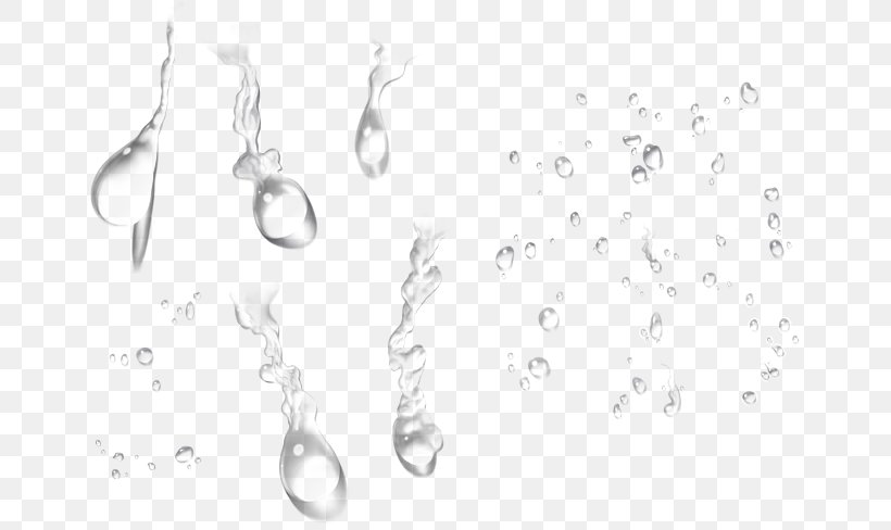 Water Drop Transparency And Translucency Icon, PNG, 658x488px, Water, Black And White, Body Jewelry, Brand, Clipping Path Download Free