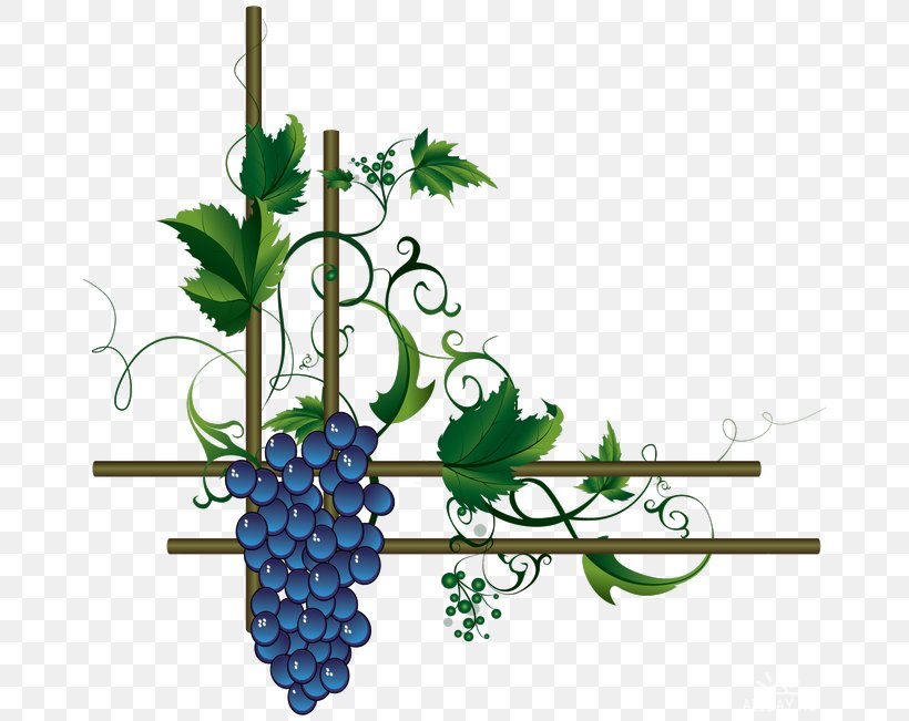 Wine Merlot Grape Leaves, PNG, 670x651px, Wine, Branch, Common Grape Vine, Flora, Floral Design Download Free