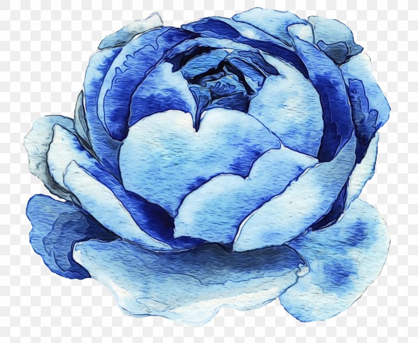 Blue Rose, PNG, 1580x1296px, Watercolor, Blue, Blue Rose, Flower, Hydrangea Download Free