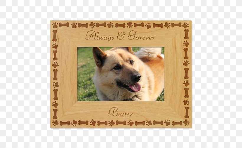 Dog Breed Icelandic Sheepdog Puppy Love Picture Frames, PNG, 501x501px, Dog Breed, Breed, Carnivoran, Dog, Dog Breed Group Download Free