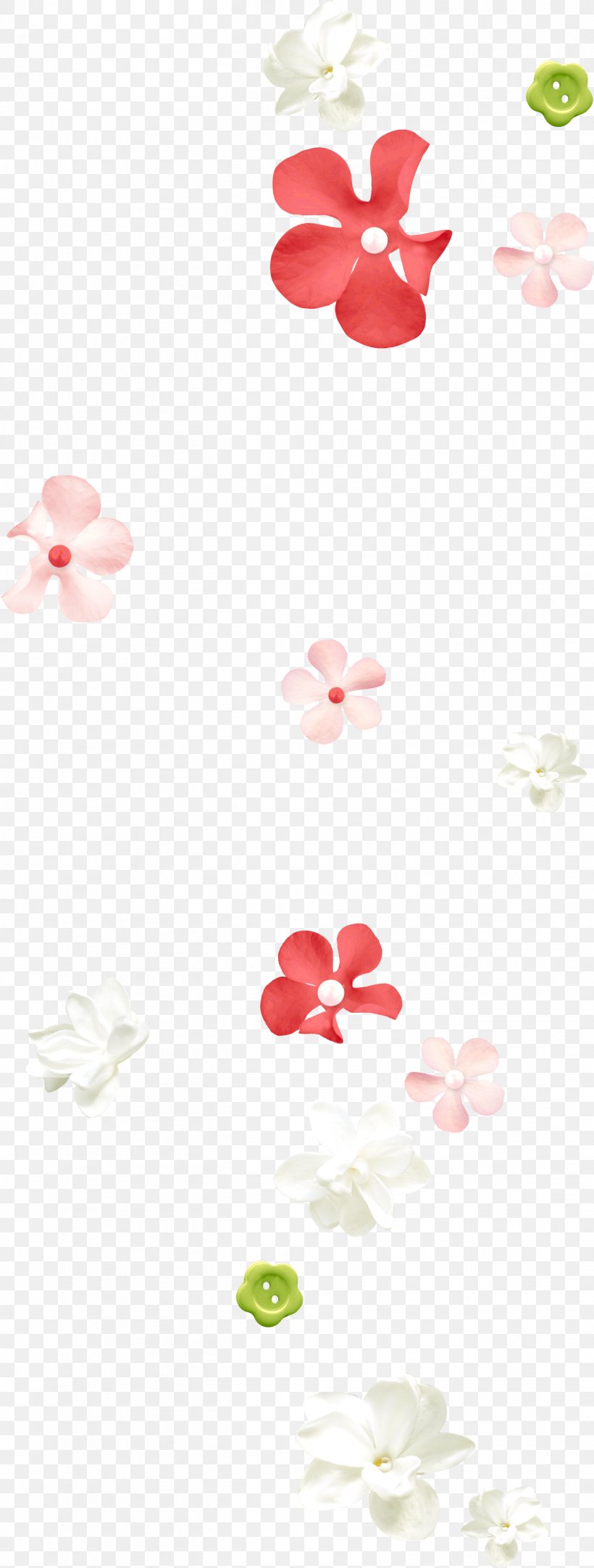 Flower Petal Placer Deposit, PNG, 1311x3459px, Flower, Digital Image, Drawing, Leaf, Petal Download Free