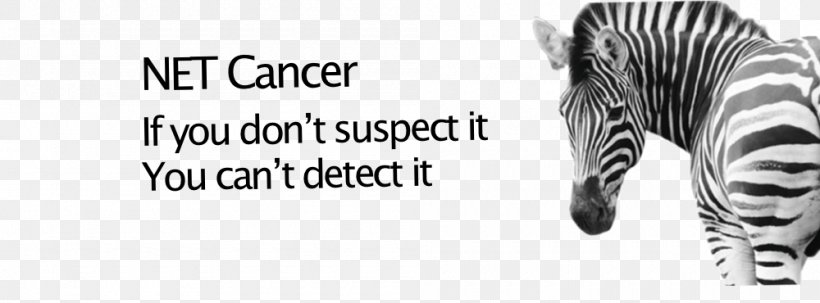 Neuroendocrine Tumor Zebra Cancer Carcinoid Awareness Ribbon, PNG, 1000x370px, Neuroendocrine Tumor, Arm, Awareness, Awareness Ribbon, Black And White Download Free