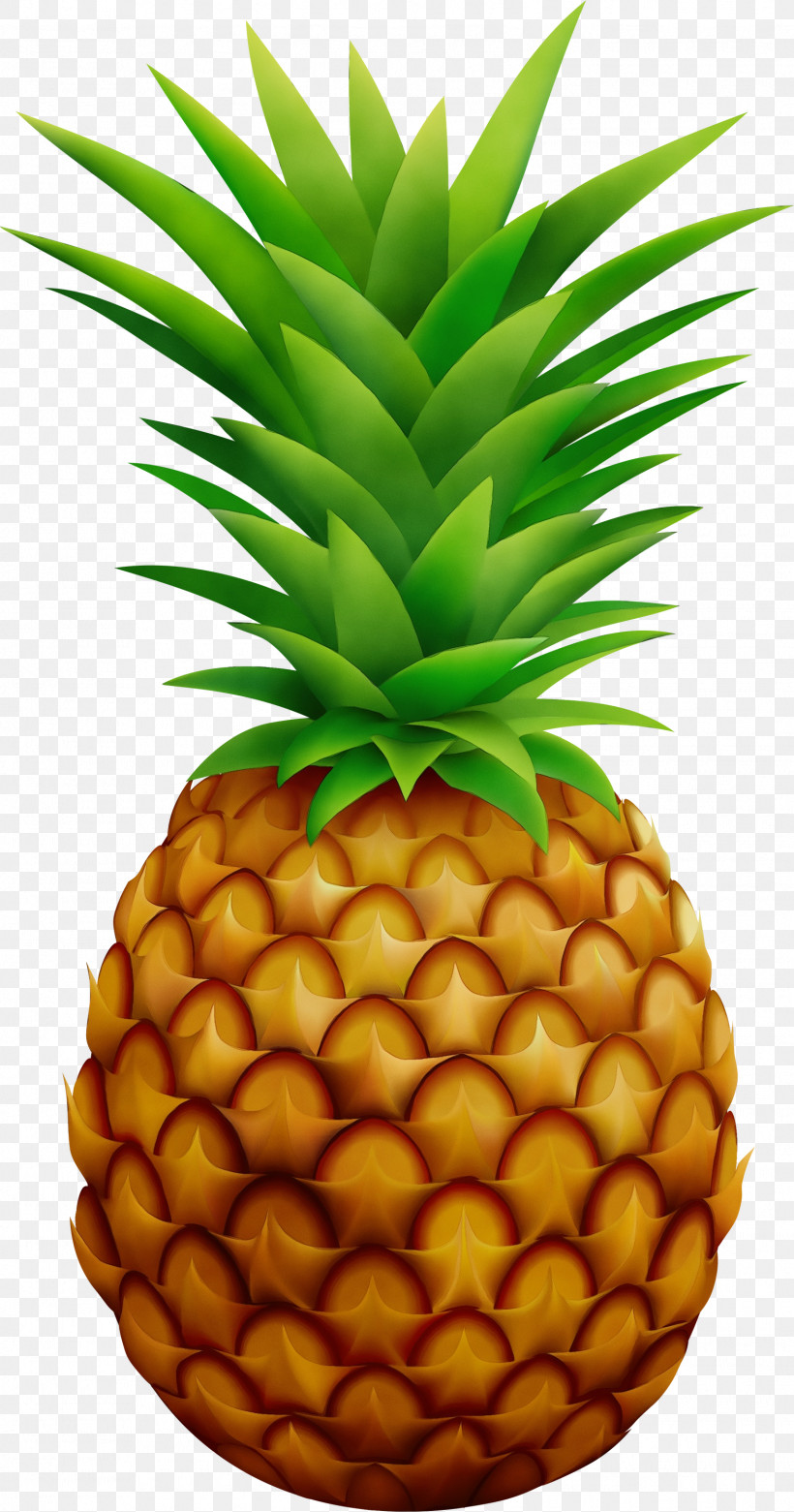 Pineapple, PNG, 1575x3000px, Watercolor, Fruit, Juice, Logo, Paint Download Free