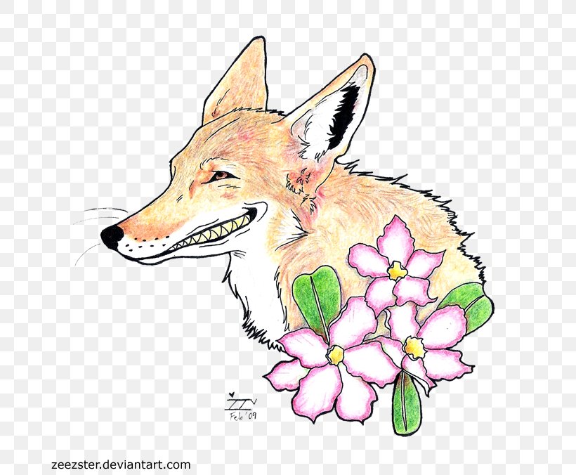 Red Fox Coyote Drawing Dog Wildlife, PNG, 700x676px, Red Fox, Animal, Art, Carnivoran, Cartoon Download Free