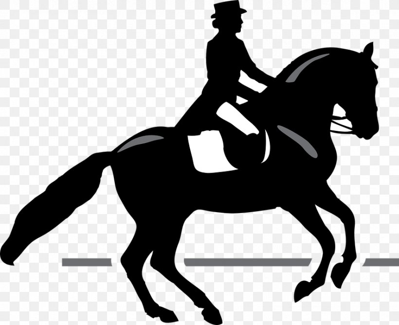 Equestrian Horse T-shirt Video Clip Art, PNG, 883x720px, Equestrian, Animal Sports, Black, Black And White, Bridle Download Free