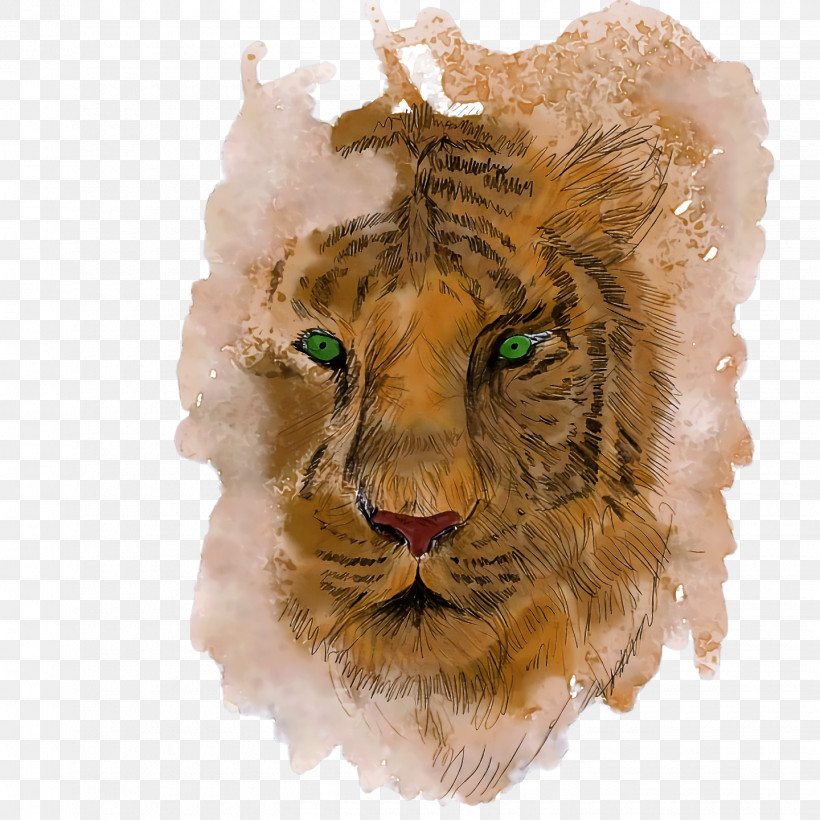 Lion Tiger Drawing Sketch Cat, PNG, 1440x1440px, Lion, Cat, Drawing, Tiger, Whiskers Download Free