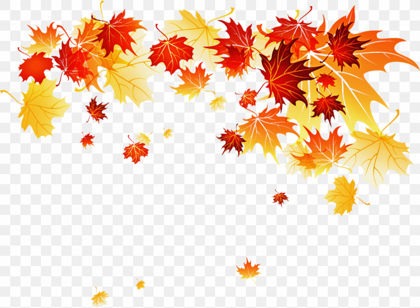 Maple Leaf, PNG, 3000x2205px, Leaf, Autumn Pattern, Branch, Maple Leaf, Picture Frame Download Free
