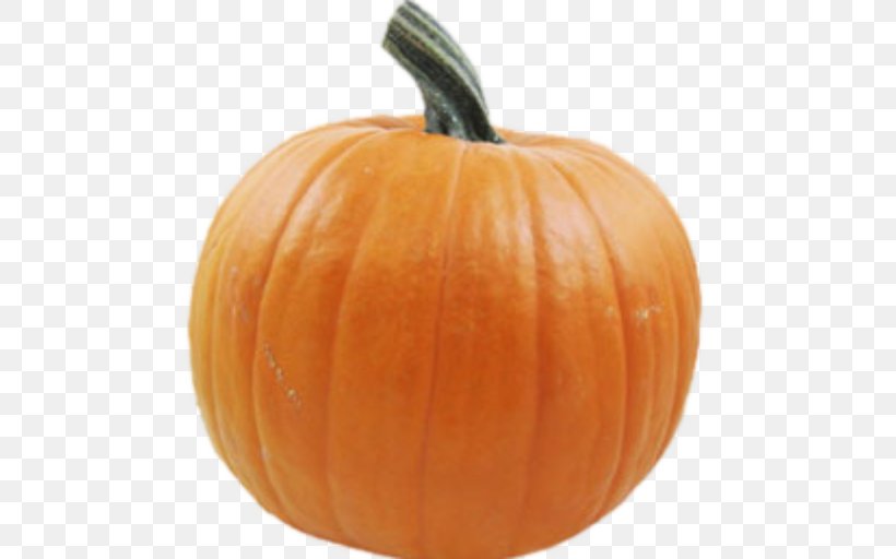 Pumpkin Pie Vegetable New Hampshire Pumpkin Festival Pumpkins & Squashes, PNG, 512x512px, Pumpkin, Calabaza, Carving, Cooking, Cucumber Gourd And Melon Family Download Free