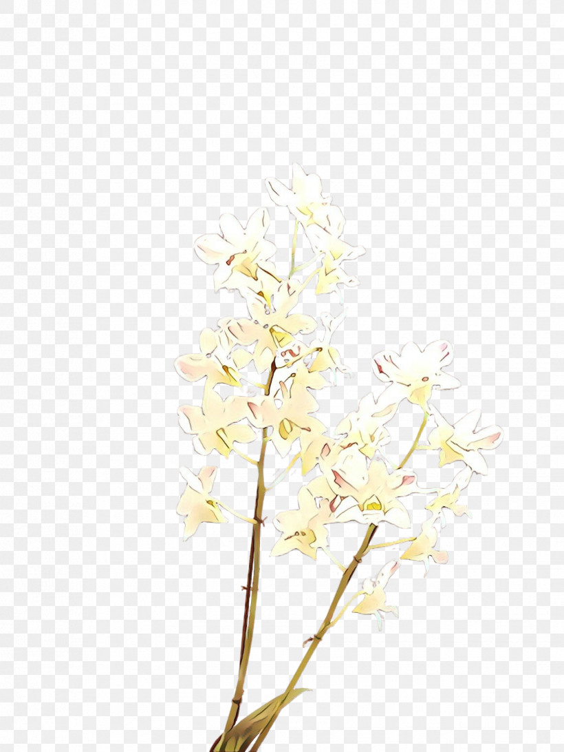 White Flower Branch Plant Twig, PNG, 1732x2307px, White, Blossom, Branch, Cut Flowers, Flower Download Free