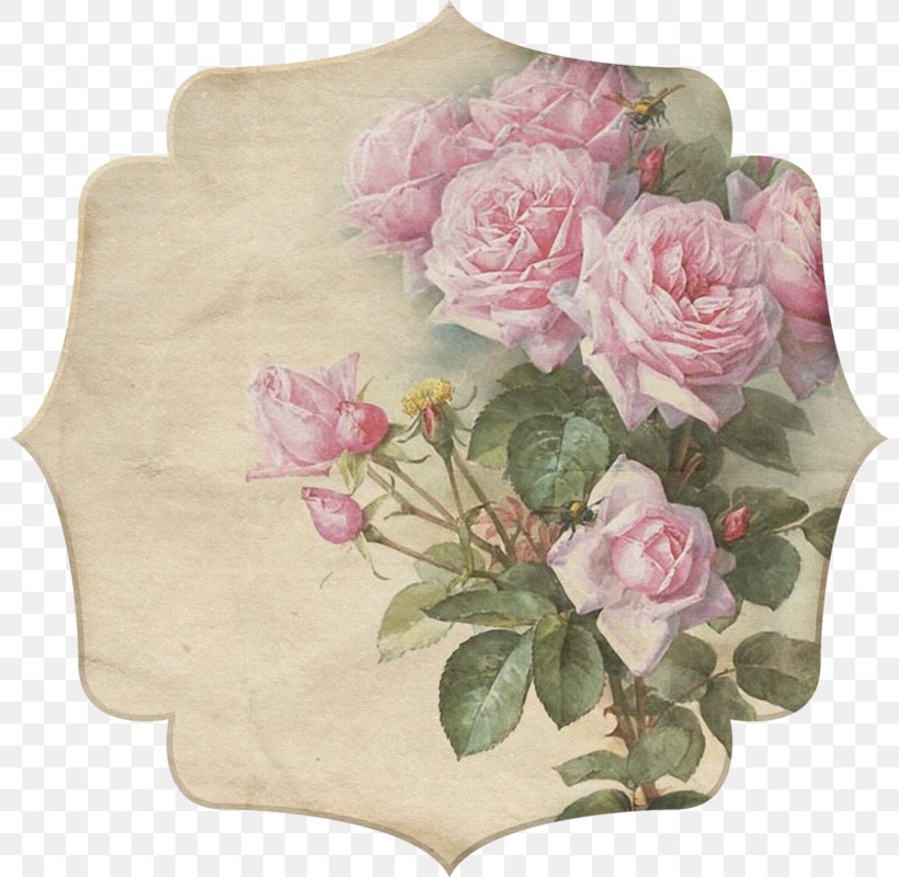Zazzle Paper Rose Painting Flower, PNG, 800x800px, Zazzle, Antique, Art, Cut Flowers, Decoupage Download Free