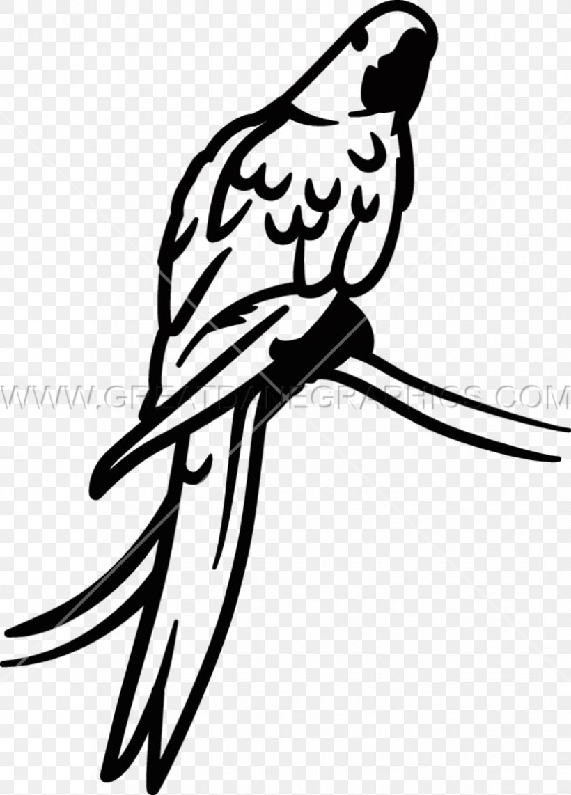 Beak Line Art Clip Art, PNG, 825x1149px, Beak, Artwork, Bird, Black And White, Branch Download Free
