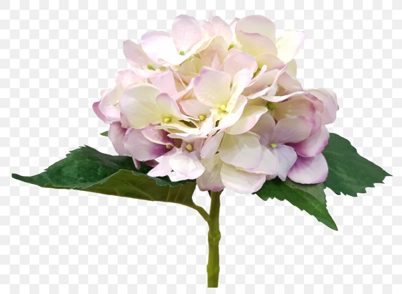 Hydrangea Cut Flowers Floral Design Flower Bouquet Pink, PNG, 800x600px, Hydrangea, Cabbage Rose, Cornales, Cut Flowers, Floral Design Download Free