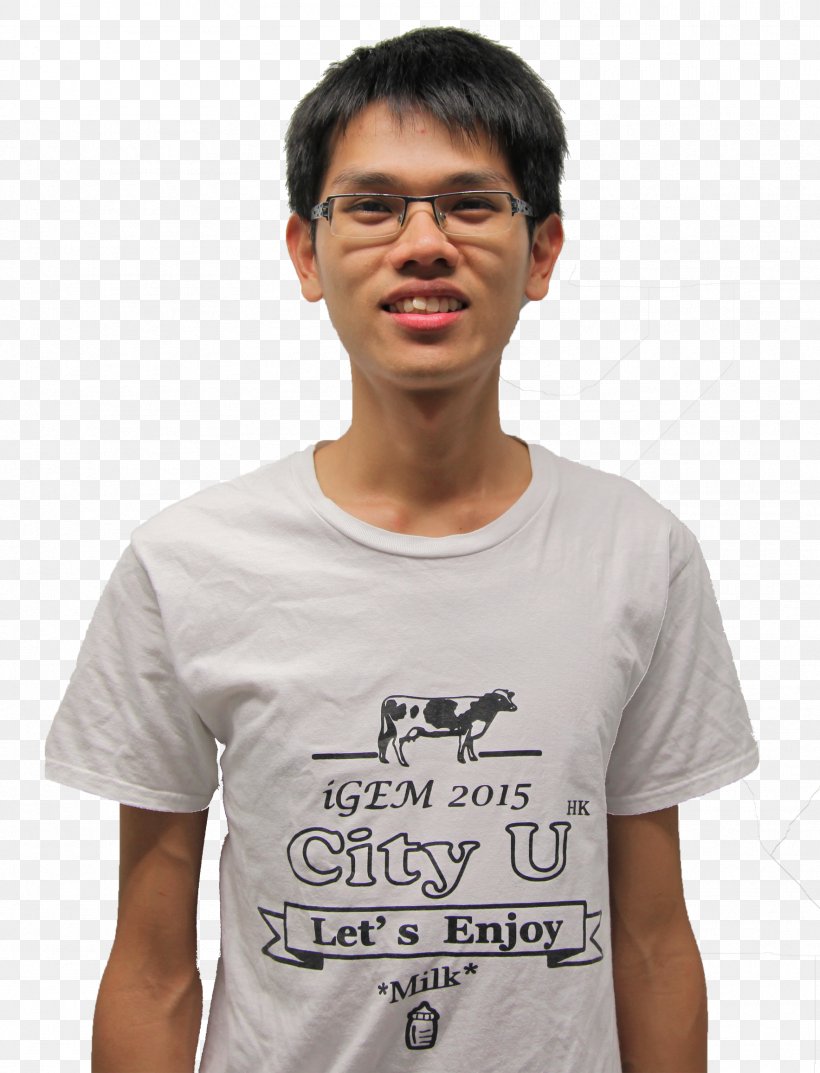 T-shirt Graphic Designer, PNG, 1767x2314px, Tshirt, Chin, City University Of Hong Kong, Designer, Forehead Download Free