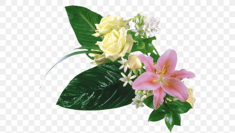 Flower Arum-lily Floreria El Jardin De Amanda, PNG, 550x465px, Flower, Artificial Flower, Arumlily, Cut Flowers, Floral Design Download Free
