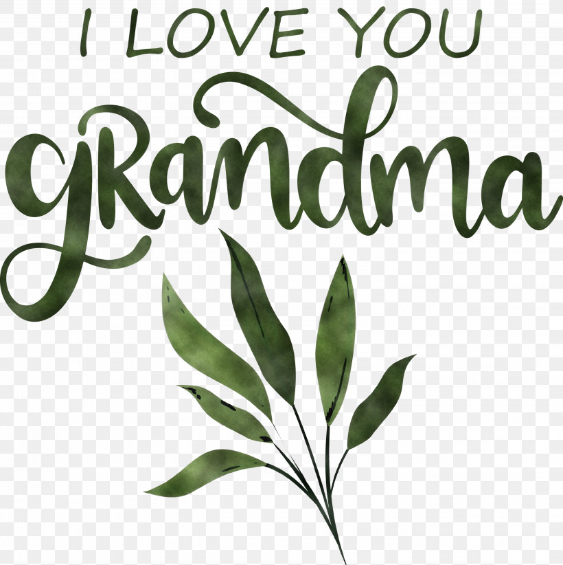 Grandmothers Day Grandma, PNG, 2992x3000px, Grandmothers Day, Biology, Branching, Flower, Grandma Download Free