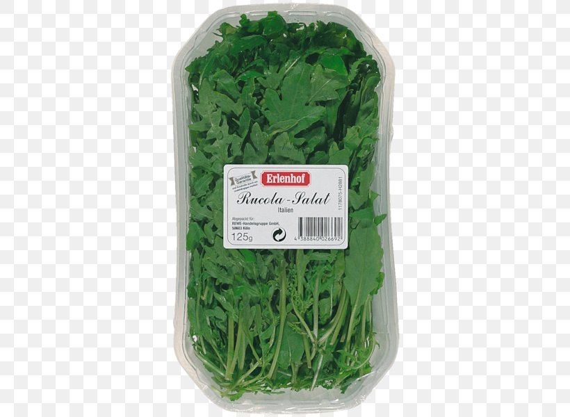 Leaf Vegetable Herb Arugula, PNG, 600x600px, Leaf Vegetable, Arugula, Herb, Ingredient, Vegetable Download Free