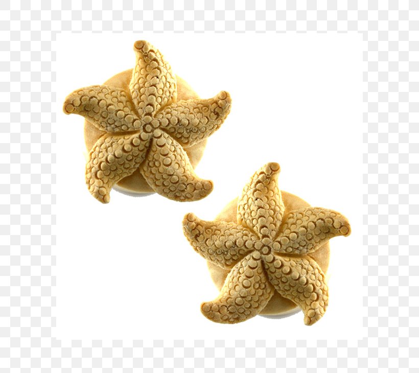 Starfish Plug Wood Carving Stuffed Animals & Cuddly Toys, PNG, 730x730px, Starfish, Echinoderm, Invertebrate, Marine Invertebrates, Plug Download Free