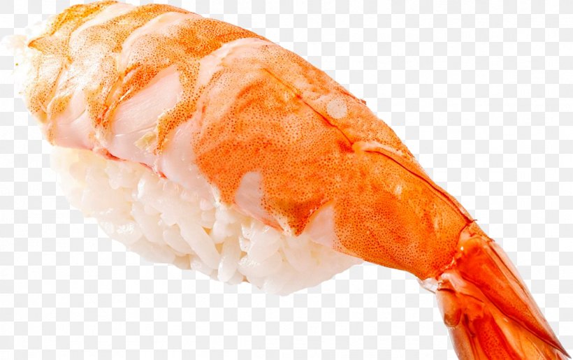 Sushi Onigiri Makizushi Caridea Tamagoyaki, PNG, 1149x722px, Sushi, Animal Source Foods, Asian Food, Atlantic Salmon, Caridea Download Free
