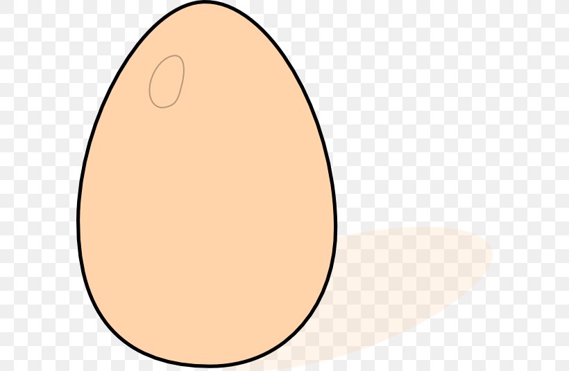 Bird Egg Bird Egg Bird Nest Clip Art, PNG, 600x536px, Bird, Area, Bird Egg, Bird Nest, Chicken Egg Download Free