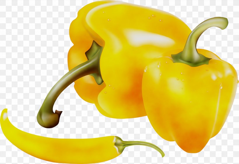 Habanero Yellow Pepper Cayenne Pepper Bell Pepper Chili Pepper, PNG, 4291x2952px, Habanero, Bell Pepper, Bell Peppers And Chili Peppers, Capsicum, Cayenne Pepper Download Free
