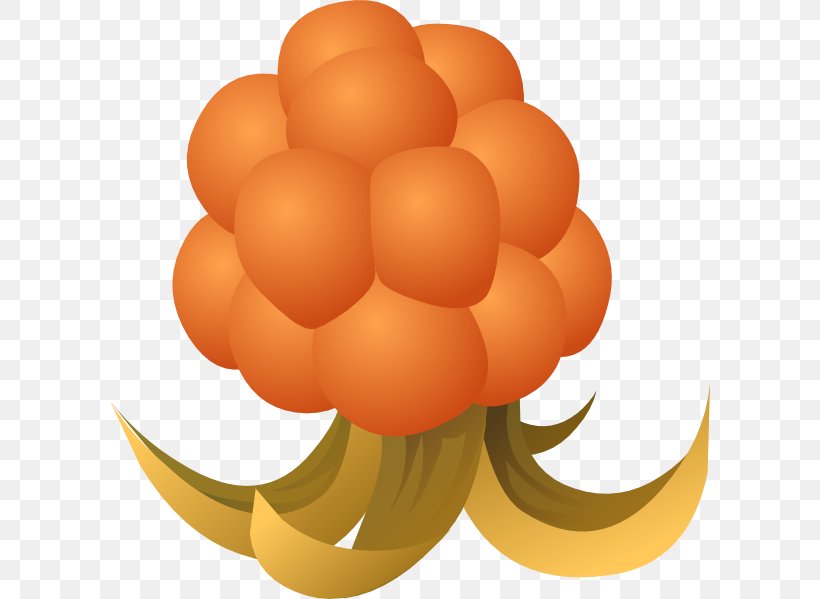 Cloudberry Drawing Clip Art, PNG, 600x599px, Cloudberry, Berry, Drawing, Food, Fruit Download Free