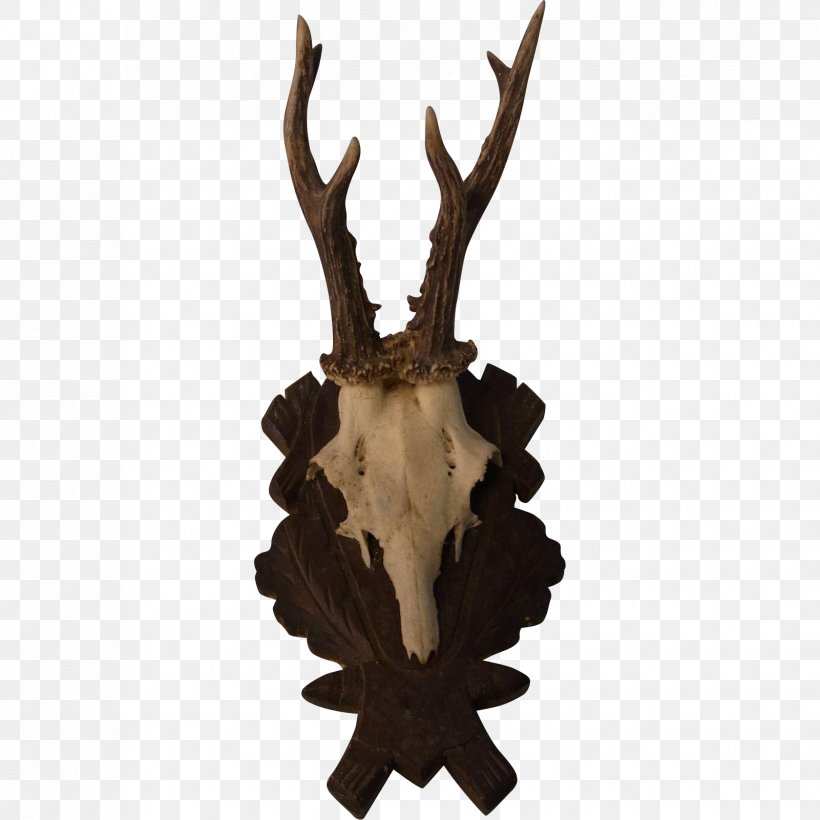 Reindeer Trophy Hunting Antler Horn, PNG, 1679x1679px, Deer, Antler, Horn, Hunting, Reindeer Download Free