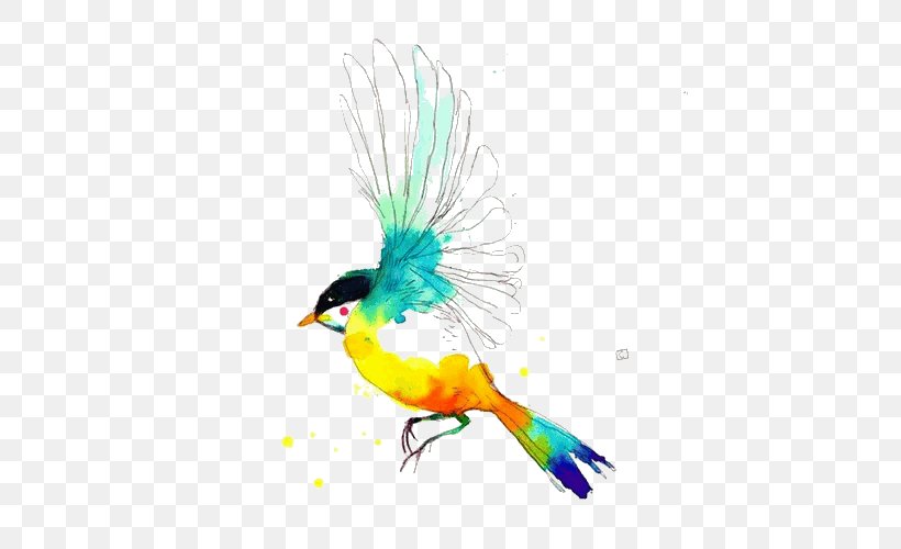 Drawing Birds Watercolor Painting, PNG, 500x500px, Bird, Art, Beak, Bird Flight, Color Download Free