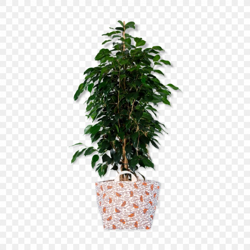 Leaf Green, PNG, 1457x1457px, Flowerpot, Flower, Houseplant, Leaf, Plant Download Free