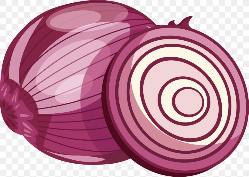 Red Onion Purple Vegetable, PNG, 2515x1794px, Red Onion, Drawing, Food, Fruit, Magenta Download Free