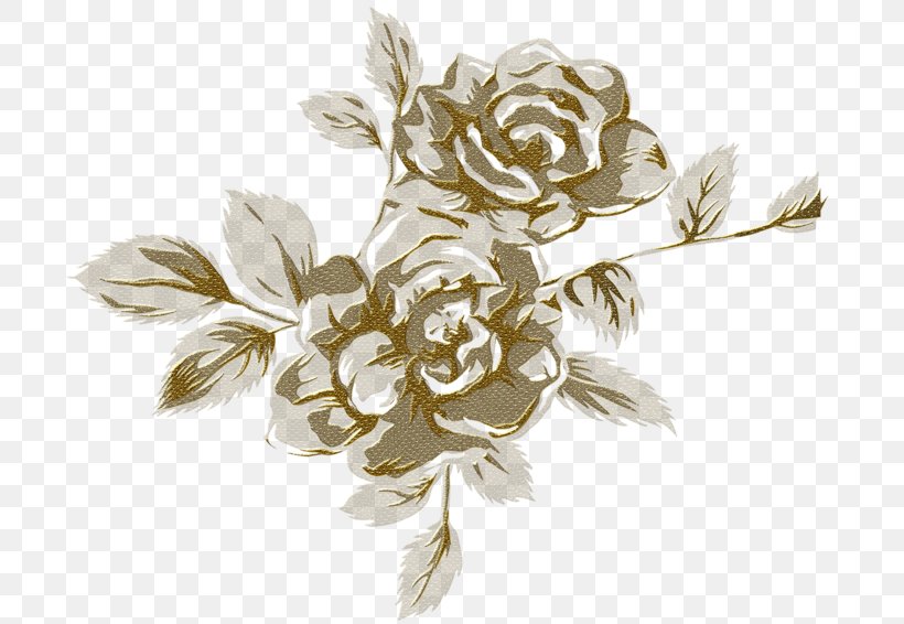 Flower Photography, PNG, 699x566px, Flower, Archive File, Body Jewelry, Brooch, Cut Flowers Download Free