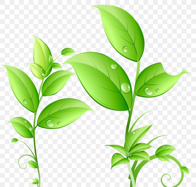 Green Drop Leaf, PNG, 926x880px, Green, Branch, Dew, Drop, Flora Download Free